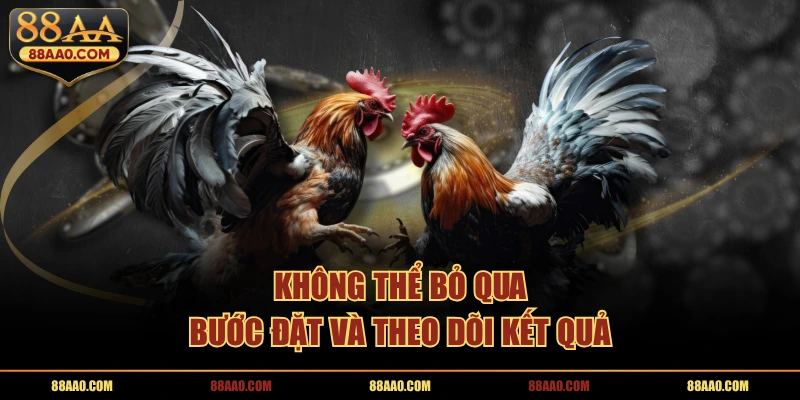 Đá gà 88aa không thể bỏ qua đặt theo dõi