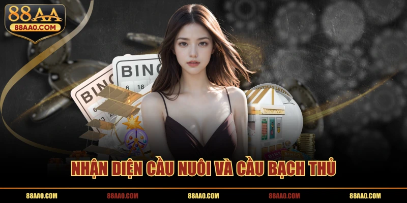 Nhận diện cầu nuôi và cầu bạch thủ 88aa