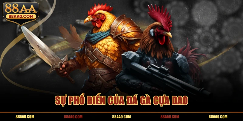 Sự phổ biến của đá gà cựa dao 88aa